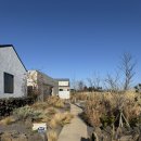 프로퍼밀도 | 서귀포 에어비앤비 독채 자쿠지 감성숙소 프로퍼밀도 적요의 길 내돈내산 솔직후기