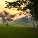 유니 랜드 이미지