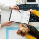 다정동물병원 이미지