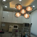 24시OK동물병원 이미지