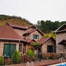 해뜨는 숲속 이미지