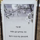 겨울에서 봄까지느낀 일주일 이미지