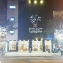 포레스트스파