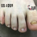 미몽 이미지