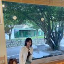 오성산장 이미지