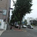 연제구-047 이미지