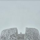 소롯골가든 이미지