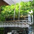 파스타숲 이미지