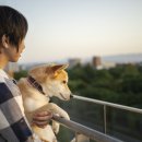 수락 동물병원 이미지