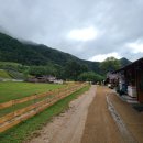 종일목장 이미지