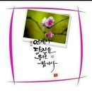 라인댄스2 이미지