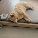 콜렌육십도 이미지