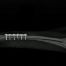 라뽀동물병원 이미지