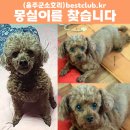 몽실이
