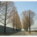 손바닥공원 족구장 이미지