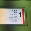 아트 온 스크린-쿠사마 야오이:무한의세계 | [도쿄워홀 D+354] 휴일, 쉬는 날, 친구랑 놀러 가는 날, 롯폰기, 모리미술관, STARS展, STARS 전시회...