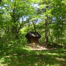 토종성황림마을 이미지