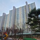 솔플란트치과의원 이미지