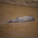 마라천국 이미지
