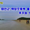 서울선치과의원 이미지