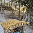 동물농장 | 강릉동물원 찾는다면 추천 이색데이트로 좋은 대관령아기동물농장 체험 후기