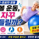 짐볼 필라테스 시니어와 초보자에게 좋은 이유. 이미지