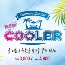 더리터나주 이미지