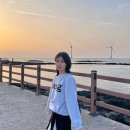 신창수산 | 제주여행 - 3일차 🍊/ 카페위이 • 풀베개 • 뽈살집한림점 • 요요정원 • 신창풍차해안도로 • 경성수산