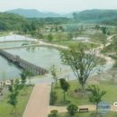 창녕 우포늪 이미지