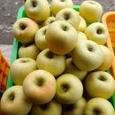 횡성농장 이미지