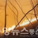 고성인력