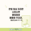일심 이미지