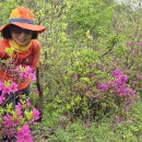 운장산 넘는길 이미지