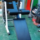 다이나포스헬스클럽 이미지