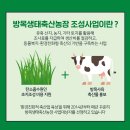 방목농장 이미지