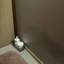 (주)여우리 이미지