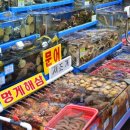담양상회 - 5833 | 담양상회
