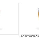 스무디킹 이미지