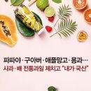 여수애플망고
