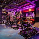 바이브 피트니스 이미지