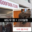 스타일독 | 전포남자펌 스타일 완성! 구프독클럽 바버샵에서 쉐도우펌 시술 후기
