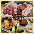 대전 고기 맛집 괴정동 근돈 항정살 모듬 후기 맛있다