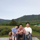 완벽한소풍