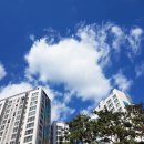 버스정류장(동아파트앞) 이미지