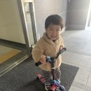 T-5 | 마이크로 맥시T 프로 LED 블랙 내돈내산 후기 5세 킥보드 추천