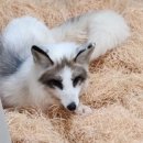 전주동물원 이미지