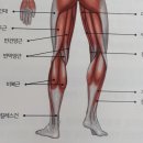 풀하프쿼터 이미지