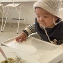 오장전자 이미지