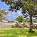 베스트애견 이미지