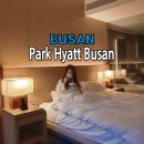 부산 파크하얏트 호텔 파크킹 스탠다드룸 트립닷컴 서포터즈로 숙박한 후기